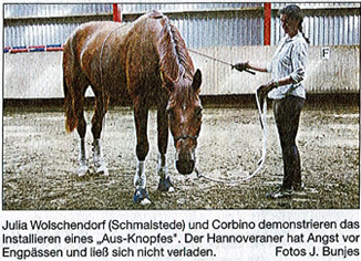 KN Artikel vom 4.8.2010